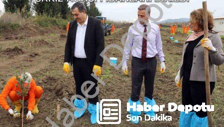 Dalaman Açık Cezaevi’nde Üretime Destek: Sakız Ağacı Fidanları Dikildi