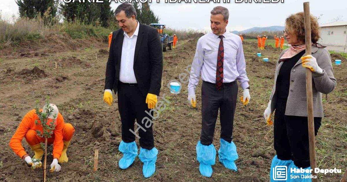 "Dalaman Açık Cezaevi'nde Üretime Destek: Sakız Ağacı Fidanları Dikildi" başlıklı haber için fotorea