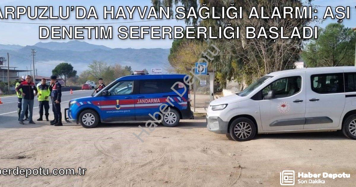 "Karpuzlu’da Hayvan Sağlığı Alarmı: Aşı ve Denetim Seferberliği Başladı" başlıklı haber için fotorea