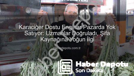 Karaciğer Dostu Enginar Pazarda Yok Satıyor: Uzmanlar Doğruladı, Şifa Kaynağına Yoğun İlgi