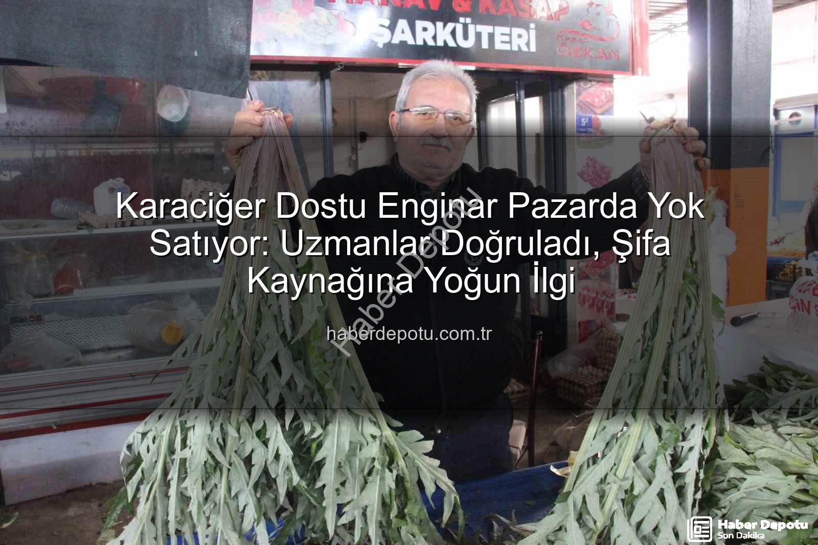 karaciğer dostu enginar - Karaciğer Dostu Enginar Pazarda Yok Satıyor: Uzmanlar Doğruladı, Şifa Kaynağına Yoğun İlgi