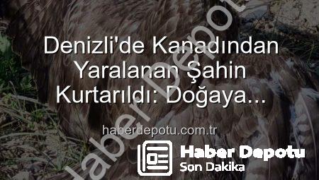 Denizli’de Kanadından Yaralanan Şahin Kurtarıldı: Doğaya Yeniden Dönmesi İçin Mücadele Başladı