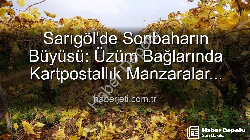 Sarıgöl budama - Sarıgöl'de Sonbaharın Büyüsü: Üzüm Bağlarında Kartpostallık Budama Sezonu Başladı
