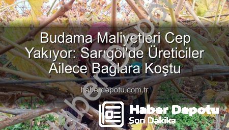 Budama Maliyetleri Cep Yakıyor: Sarıgöl’de Üreticiler Ailece Bağlara Koştu