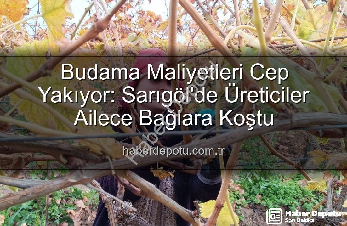 budama maliyeti - Budama Maliyetleri Cep Yakıyor: Sarıgöl'de Üreticiler Ailece Bağlara Koştu