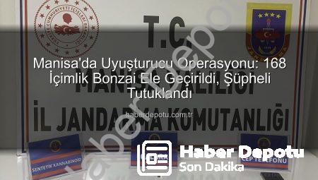 Manisa’da Uyuşturucu Operasyonu: 168 İçimlik Bonzai Ele Geçirildi, Şüpheli Tutuklandı
