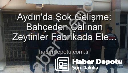 Aydın’da Şok Gelişme: Bahçeden Çalınan Zeytinler Fabrikada Ele Geçirildi, 2 Şüpheli Yakalandı