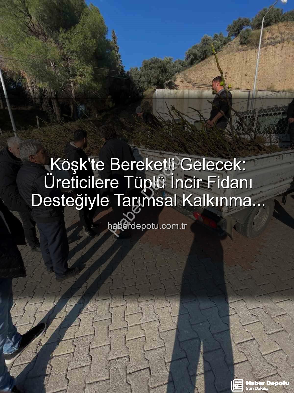 tüplü incir fidanı - Köşk'te Bereketli Gelecek: Üreticilere Tüplü İncir Fidanı Desteğiyle Tarımsal Kalkınma Hamlesi
