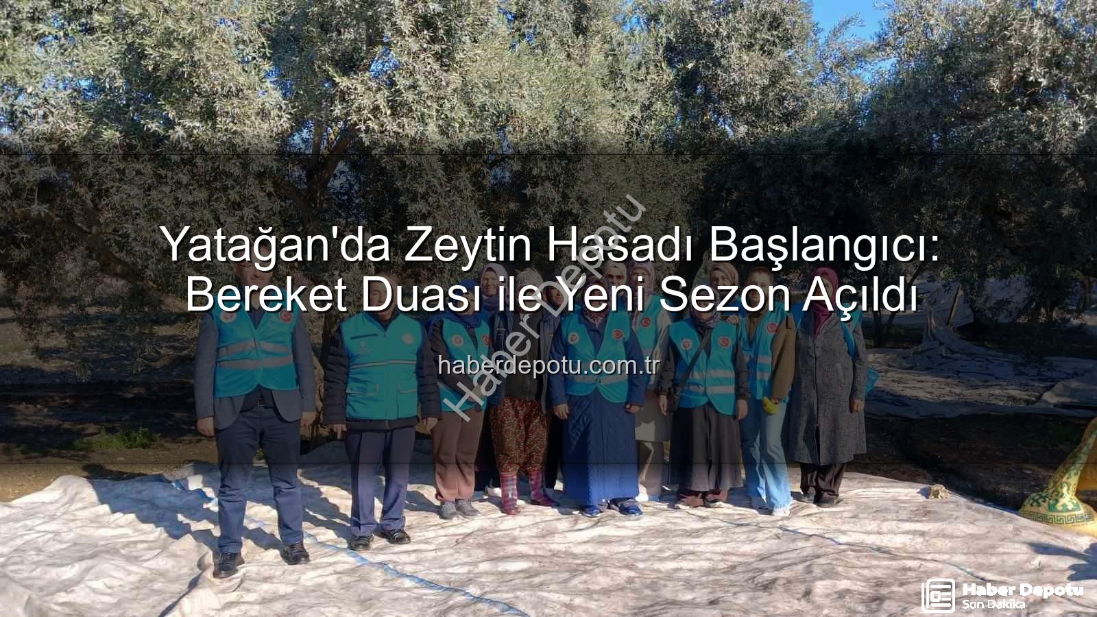 Yatağan zeytin hasadı - Yatağan'da Zeytin Hasadı Başlangıcı: Bereket Duası ile Yeni Sezon Açıldı