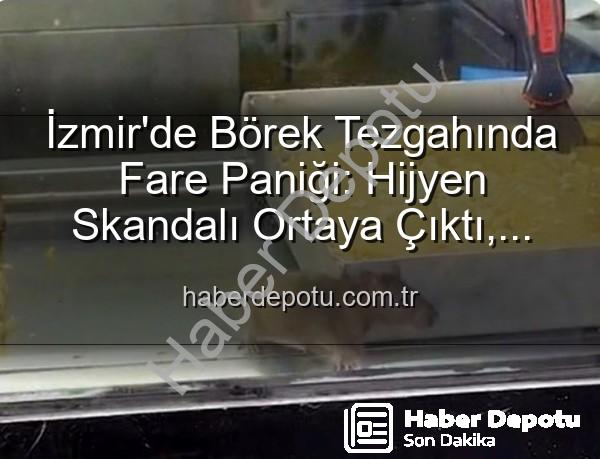börek tezgahında fare - İzmir'de Börek Tezgahında Fare Paniği: Hijyen Skandalı Ortaya Çıktı, İşletme Mühürlendi