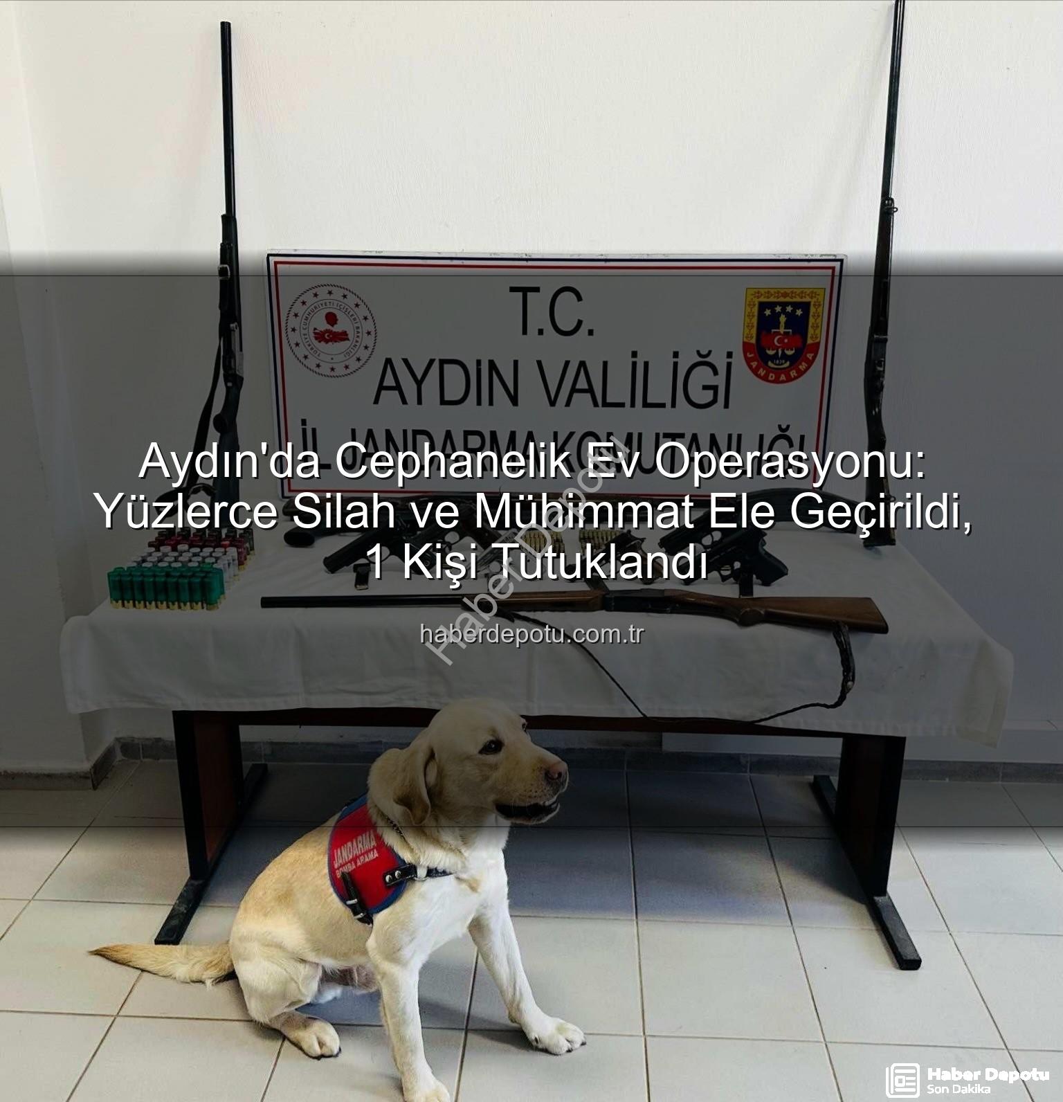 ruhsatsız silah - Aydın'da Cephanelik Ev Operasyonu: Yüzlerce Silah ve Mühimmat Ele Geçirildi, 1 Kişi Tutuklandı