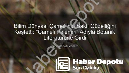 Bilim Dünyası Çameli’nin Saklı Güzelliğini Keşfetti: “Çameli Pelemiri” Adıyla Botanik Literatürüne Girdi