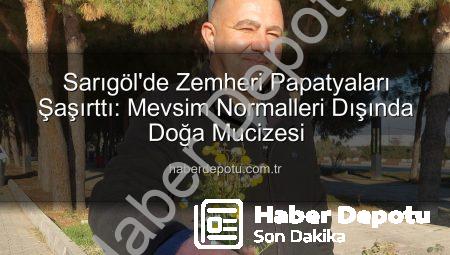 Sarıgöl’de Zemheri Papatyaları Şaşırttı: Mevsim Normalleri Dışında Doğa Mucizesi